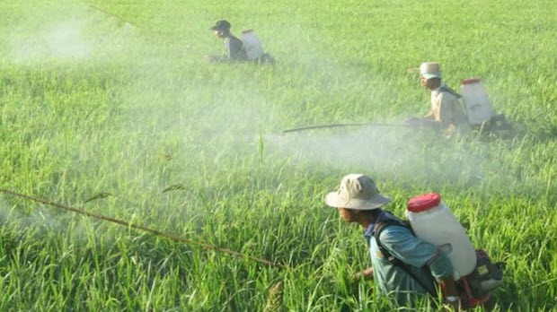 Sốc: VN nhập lượng "khủng" thuốc trừ sâu từ Trung Quốc